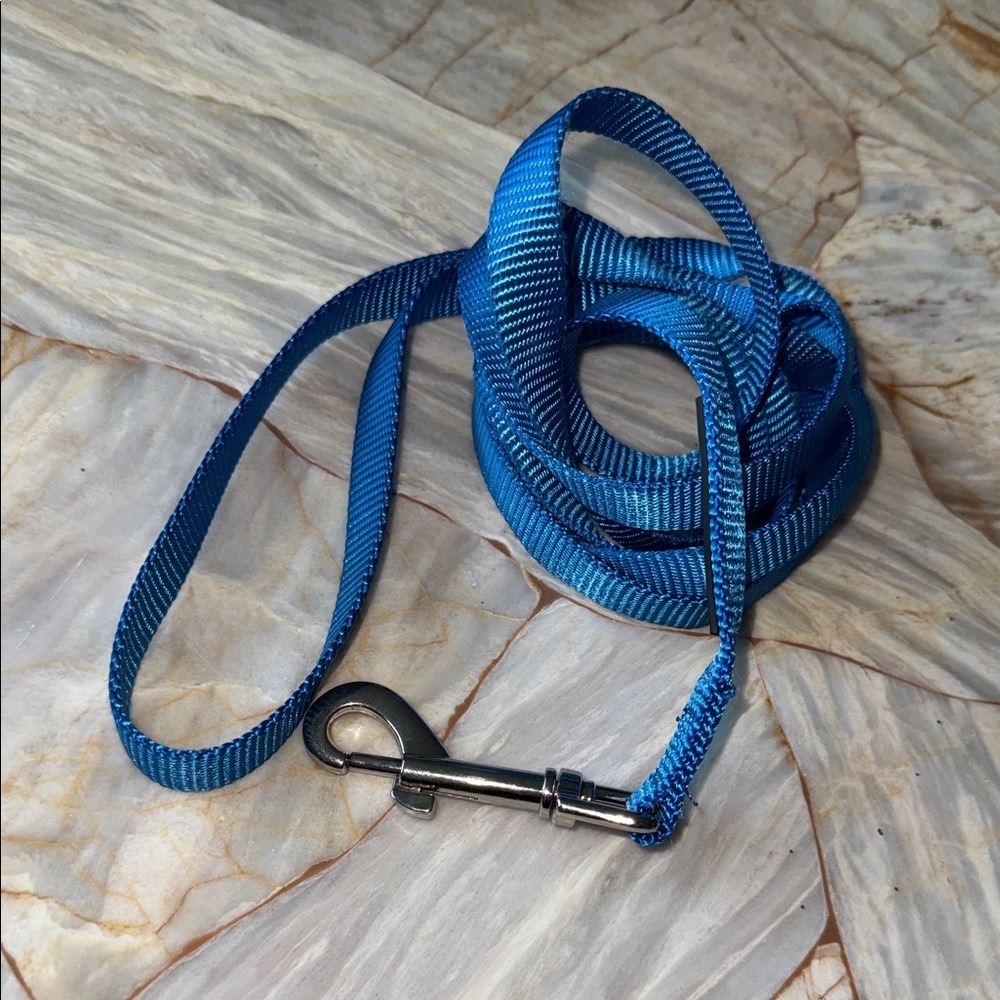 Top Paw Vibrant Blue‎ Dog Leash